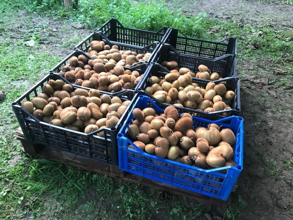 Terra di Prato – Sabato 31 Ottobre